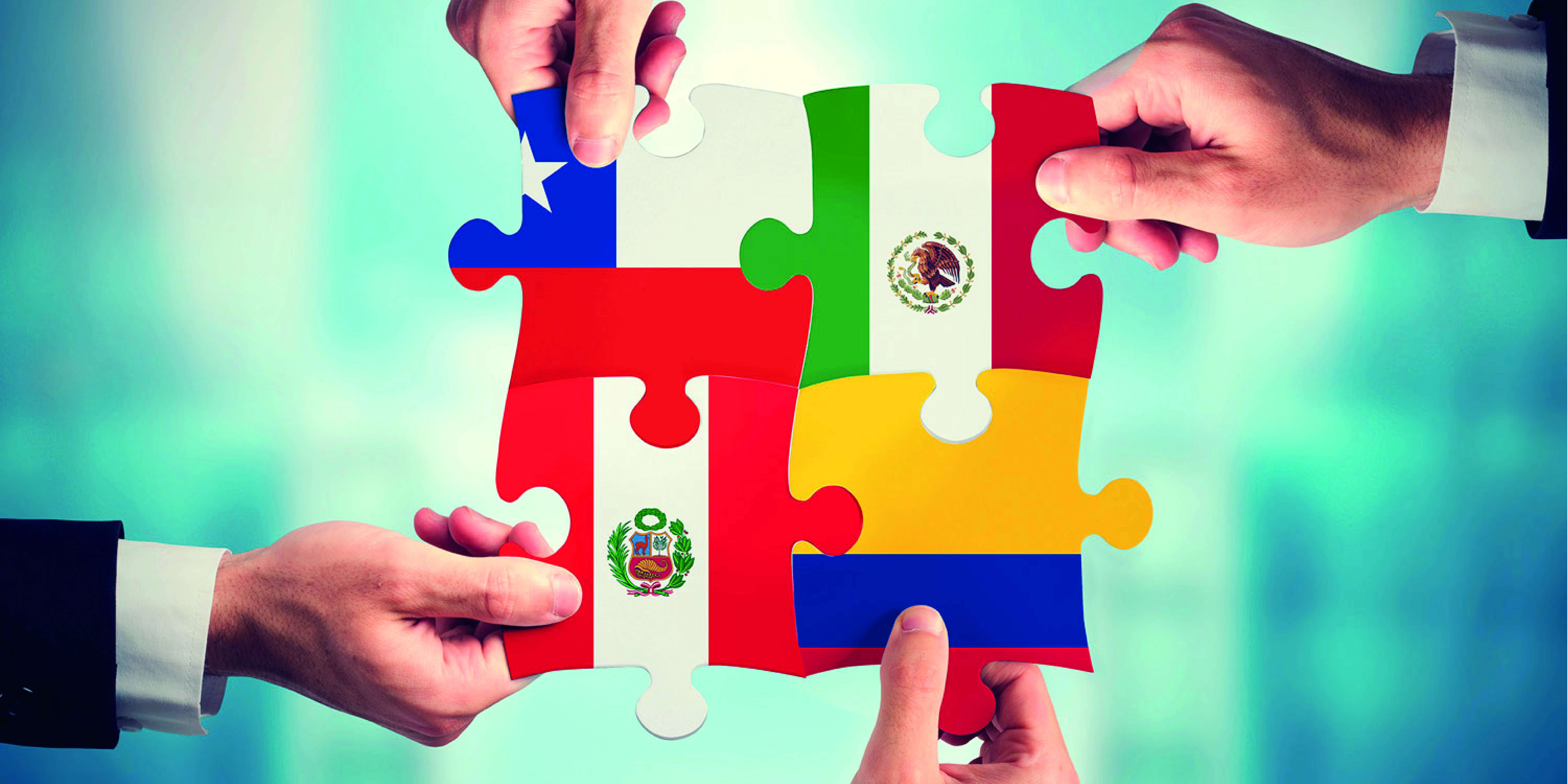 Unión de varios paises en el marketplace

